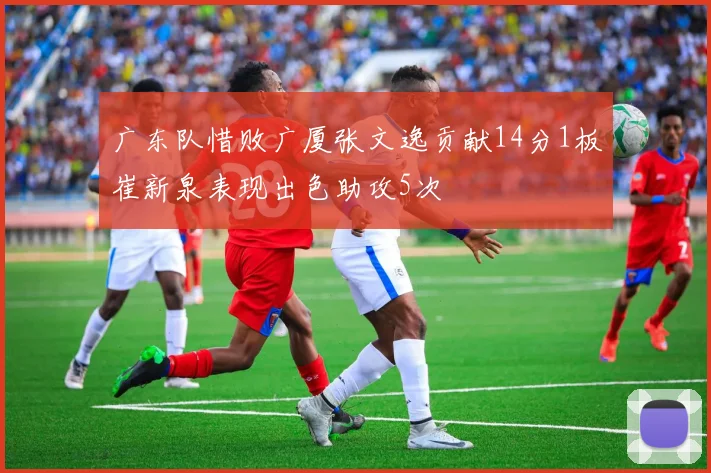 广东队惜败广厦张文逸贡献14分1板崔新泉表现出色助攻5次